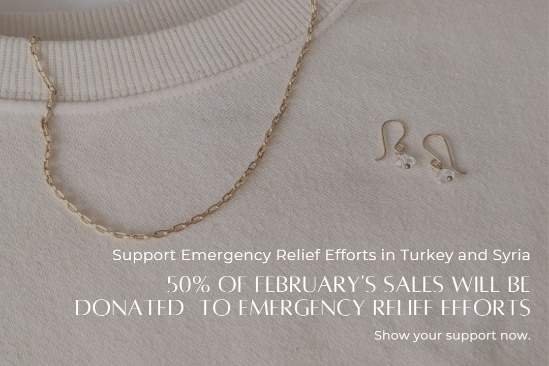 Support Earthquake Survivors in Turkey and Syria