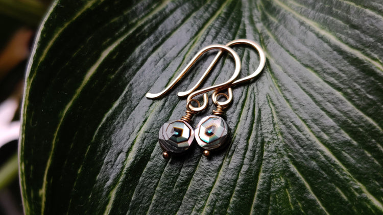 Earrings - Shell Earrings