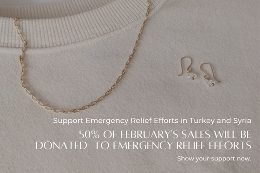 Support Earthquake Survivors in Turkey and Syria